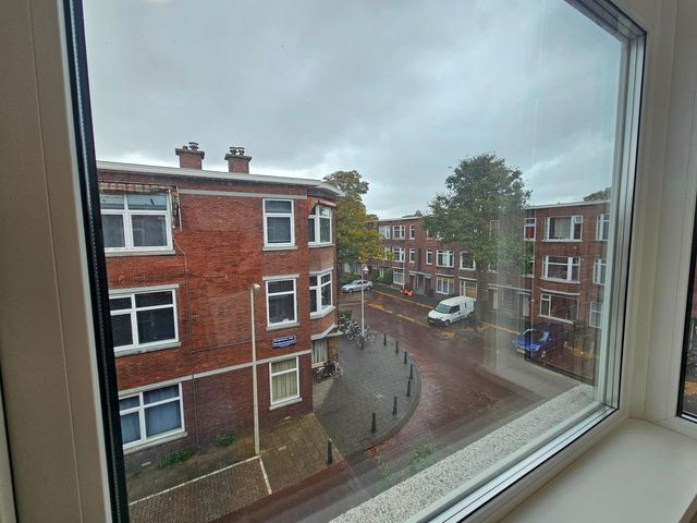 Linnaeusstraat 239, Den Haag