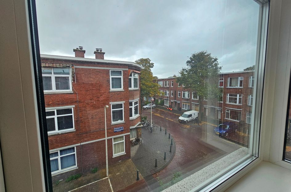 Linnaeusstraat 239