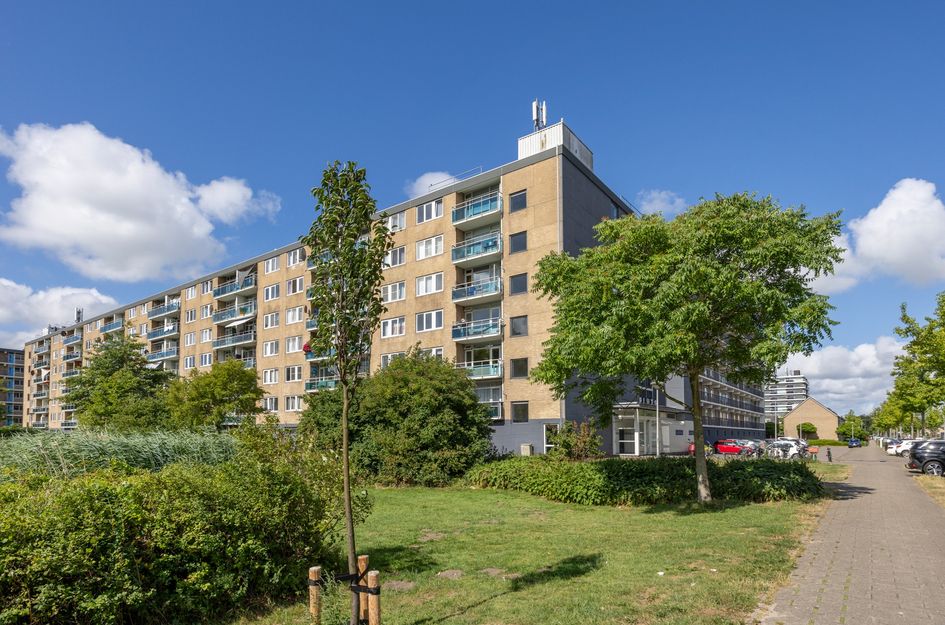 Plutostraat 80