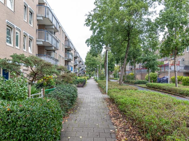 Steenderenstraat 7, Amsterdam
