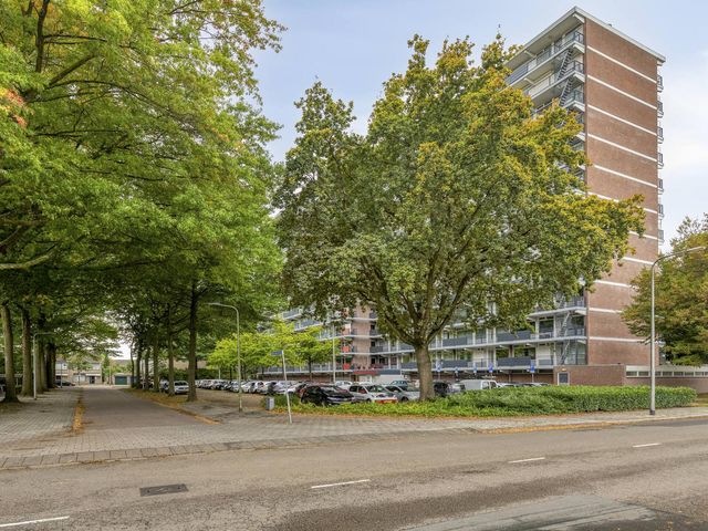 Meulemansstraat 133, Tilburg