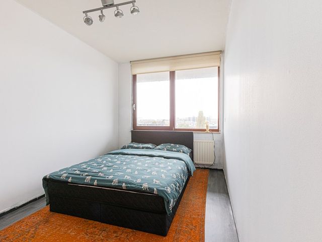 Het Dok 63, Zaandam