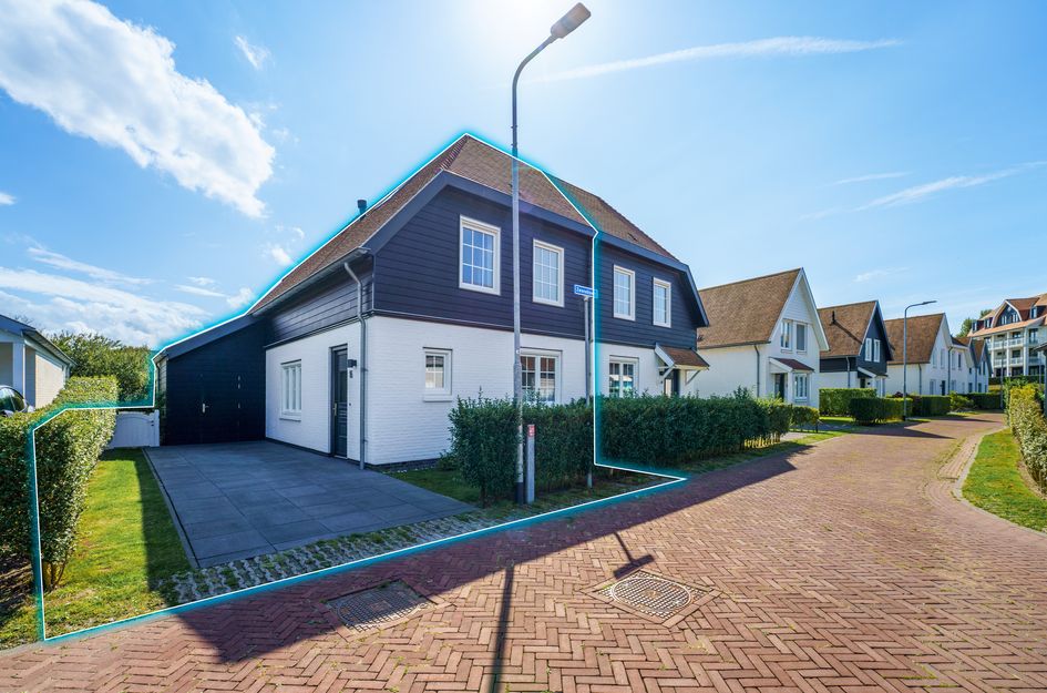 Zwanebloem 16