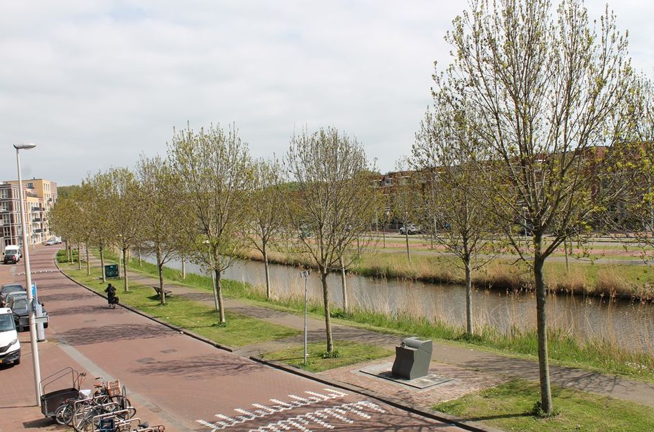 N. Lansdorpstraat 33