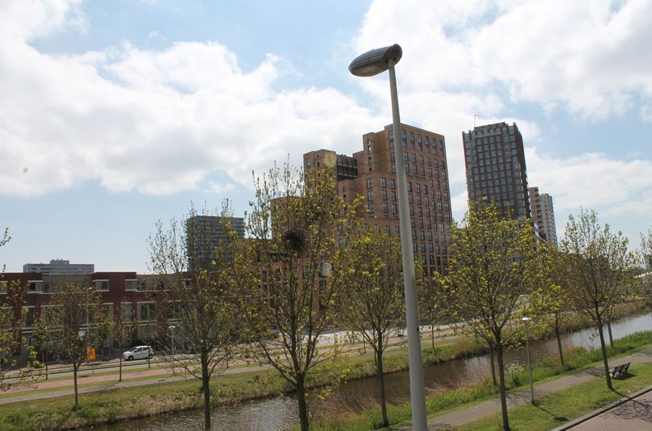 N. Lansdorpstraat 33
