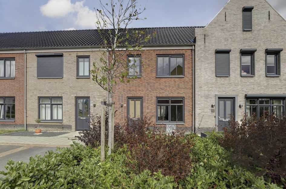Eenhoorn 14