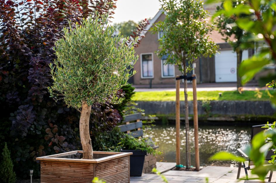 Pottenbakkersstraat 8