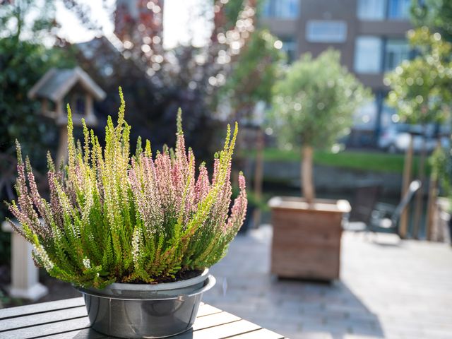 Pottenbakkersstraat 8, Bolsward