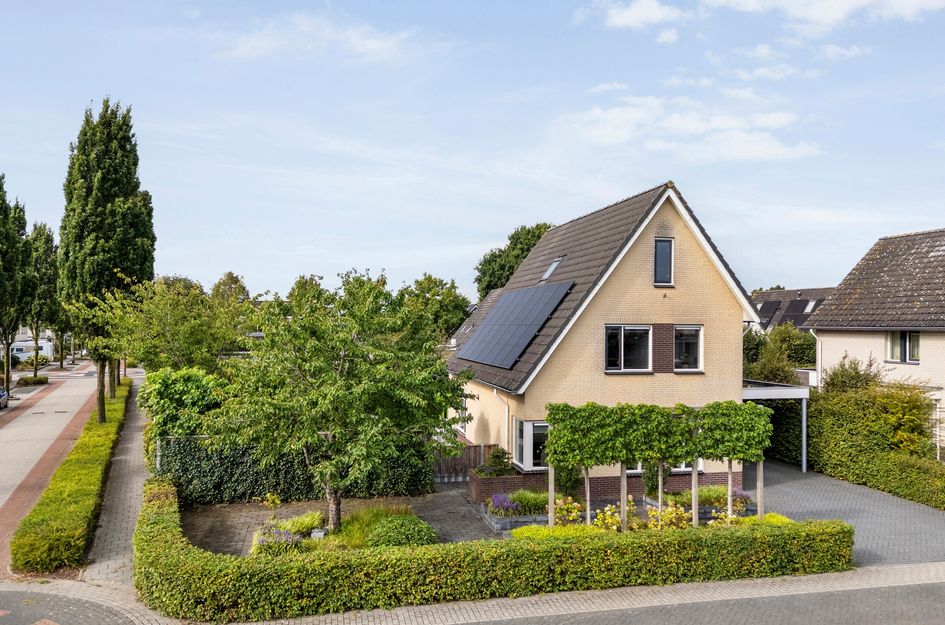 Boesemeer 46