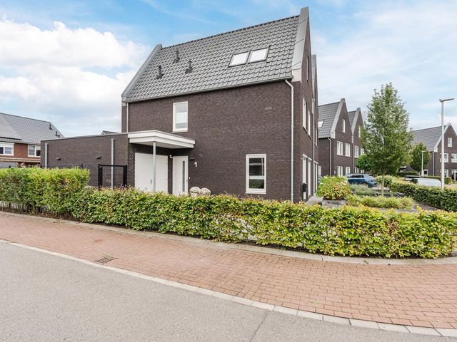 Edelhert 1, Hoogeveen