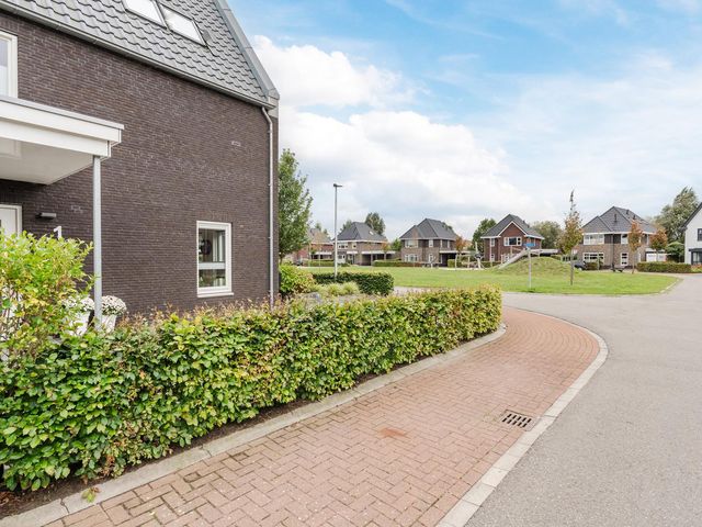 Edelhert 1, Hoogeveen