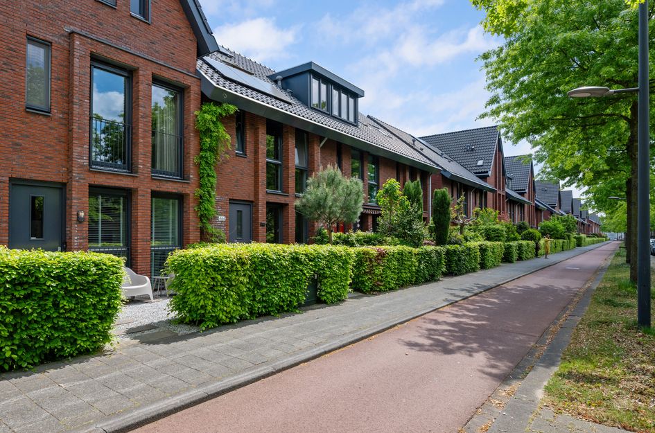 Laan Van Avant-Garde 464