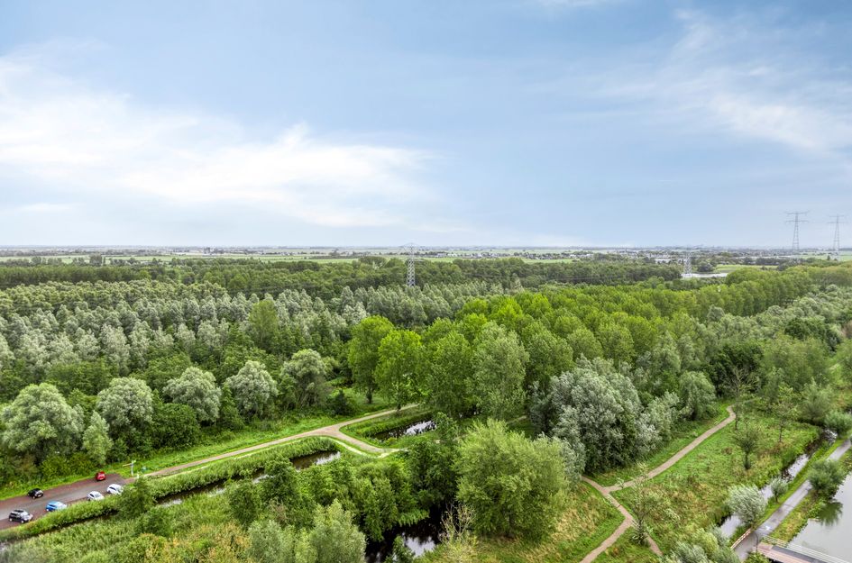 Wijde Wormer 177