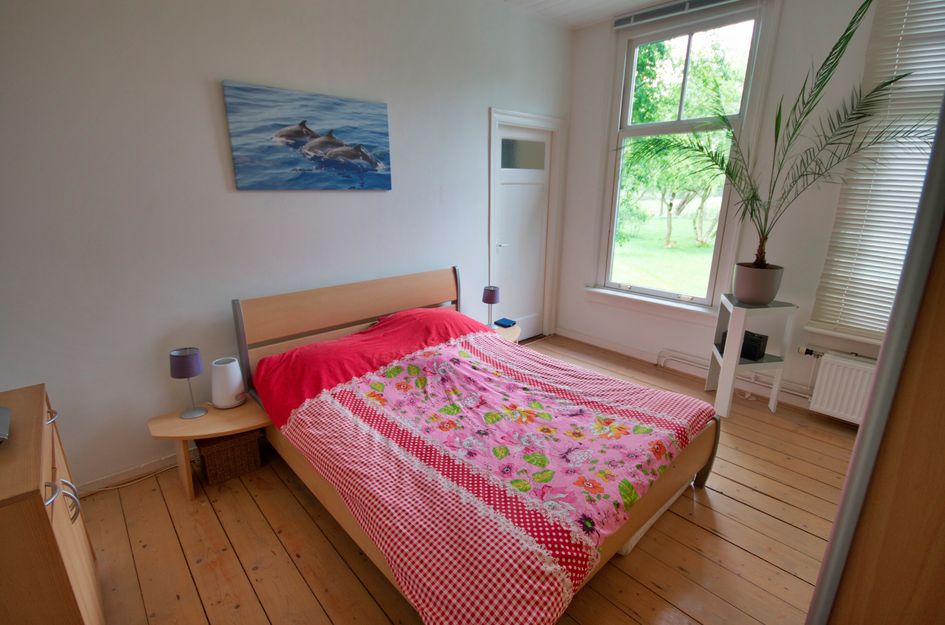 De Kamp 4