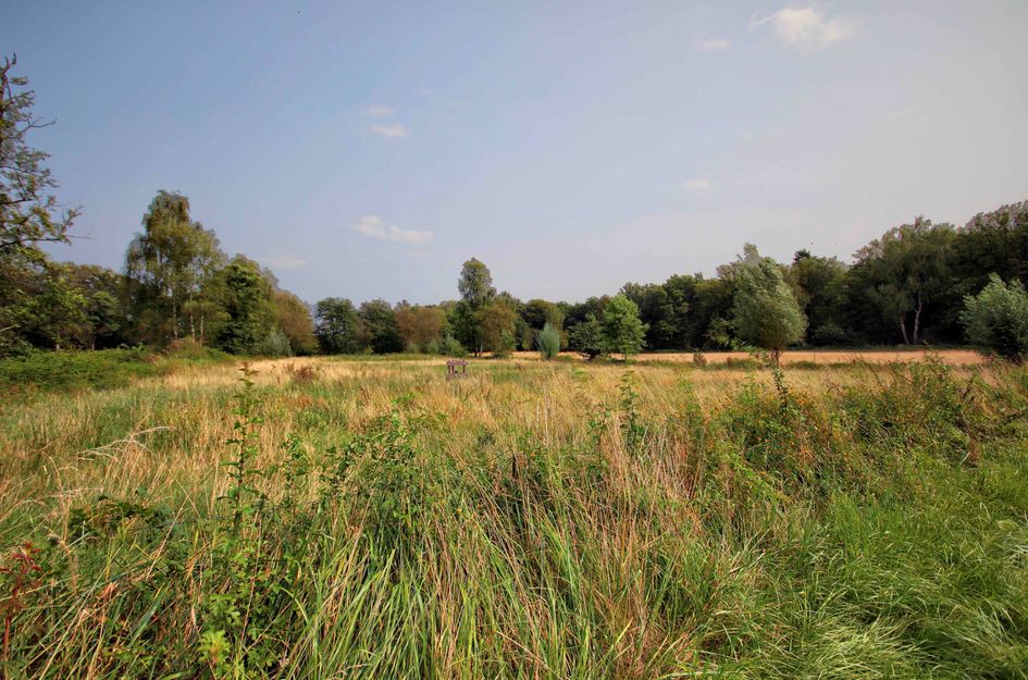 De Kamp 4