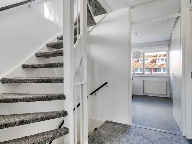 Leliekeverstraat 30, Den Haag