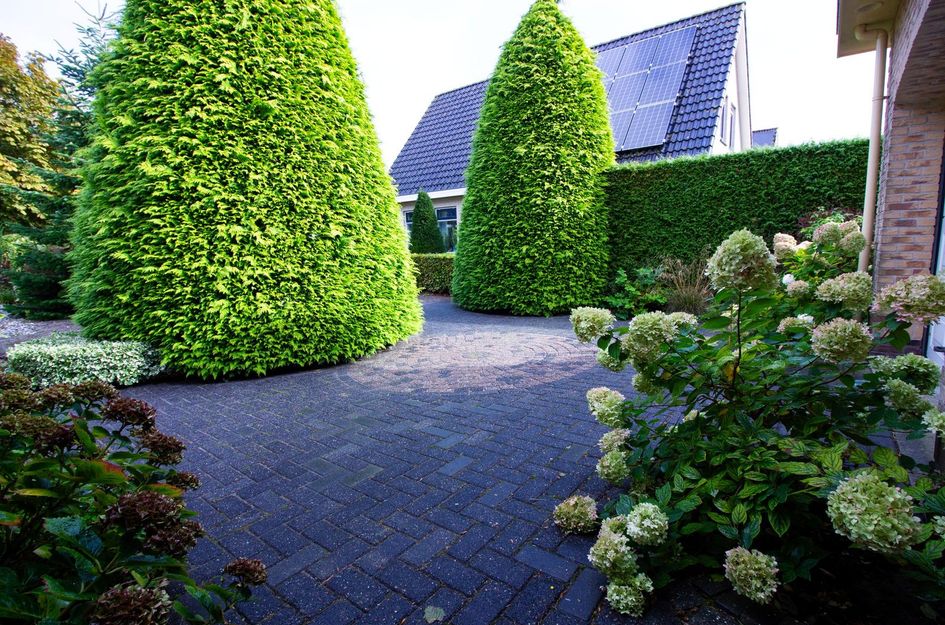 Schoutsland 11