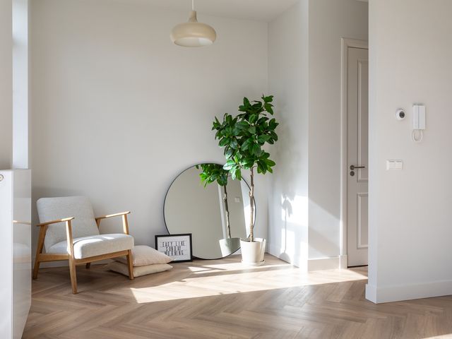 Weimarstraat 26A2, Den Haag