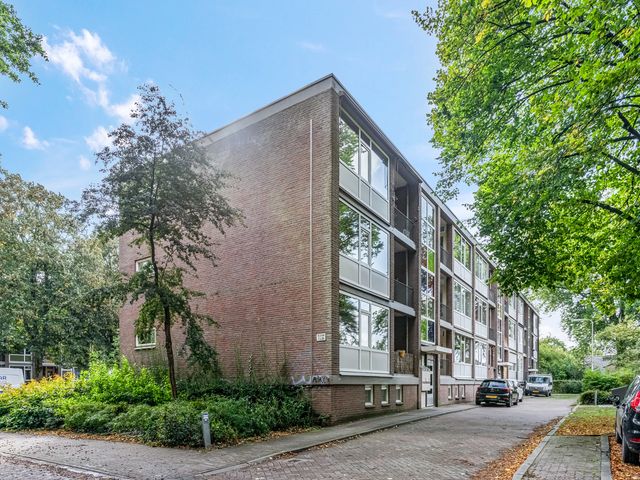 De Zoom 4, Ede