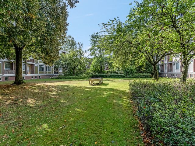 De Zoom 4, Ede