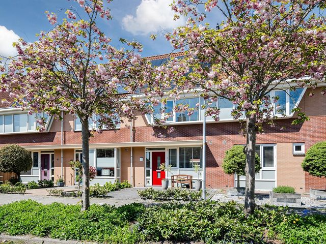 Kolgans 65, Nibbixwoud