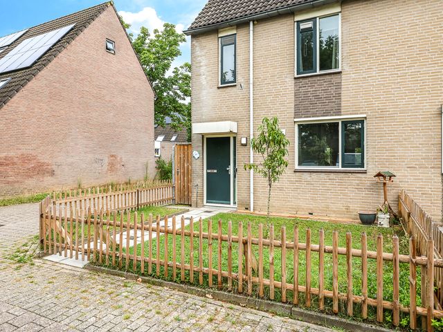 Schepen Monetariusstraat 48, Arnhem