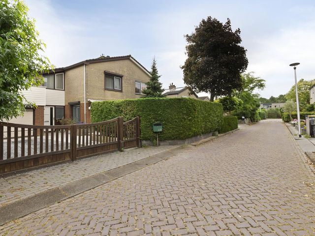 Omloop 40, Strijen