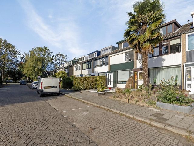 Plataanstraat 45, Puttershoek