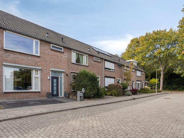 Schuberthof 134, Terneuzen
