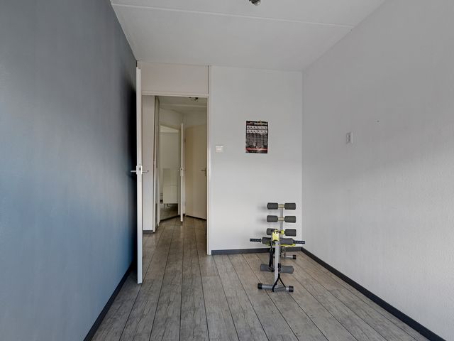 Oliemolen 56, Hoorn