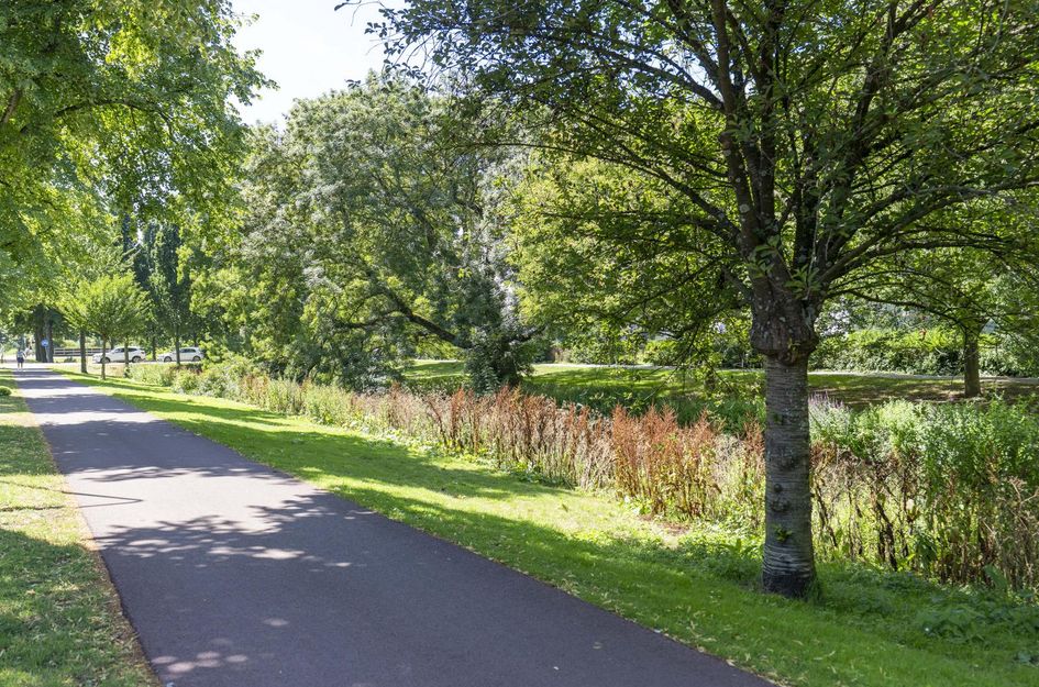 Steenwijklaan 332