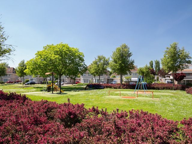 Roerdomp 37, 's-Hertogenbosch