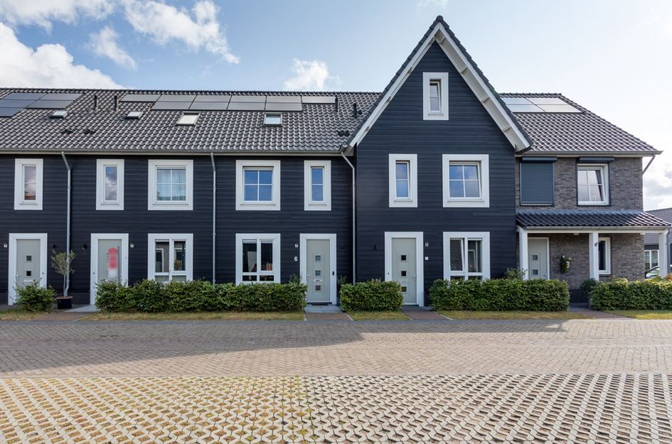 Aardbei 6