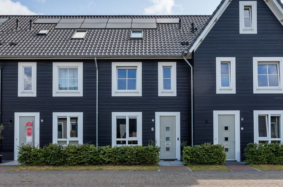 Aardbei 6