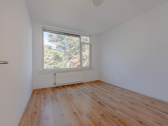 Buizerdstraat 13B, Rotterdam