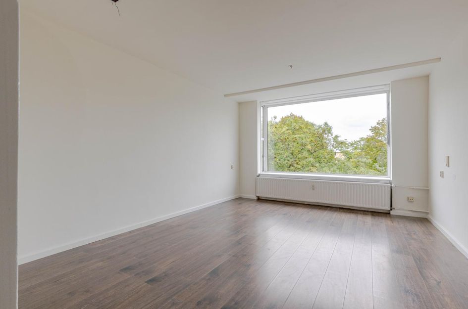 Langenhorst 293