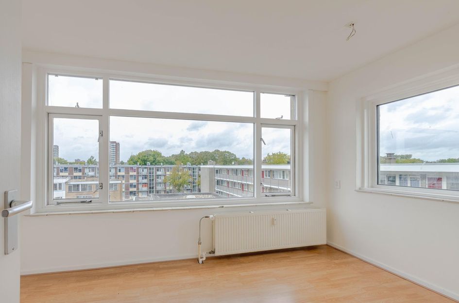 Langenhorst 293