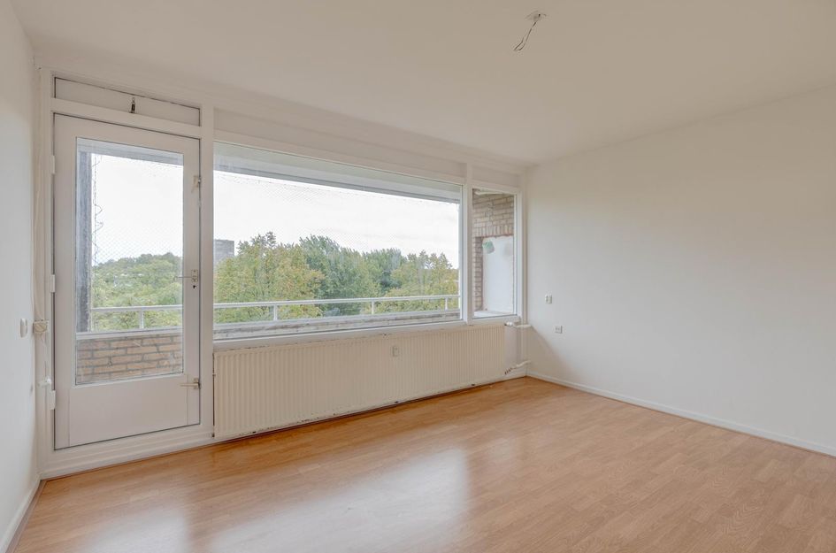 Langenhorst 293