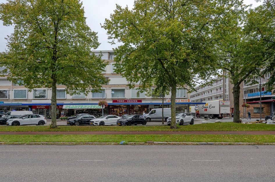 Langenhorst 293