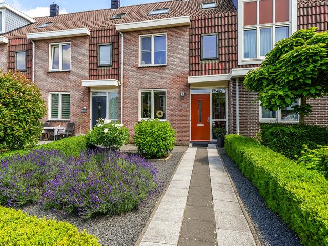 Zalm 7, Hendrik-Ido-Ambacht