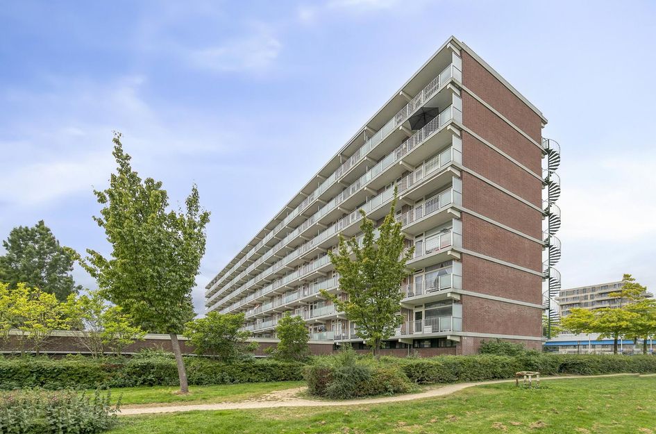 Alkenoord 284