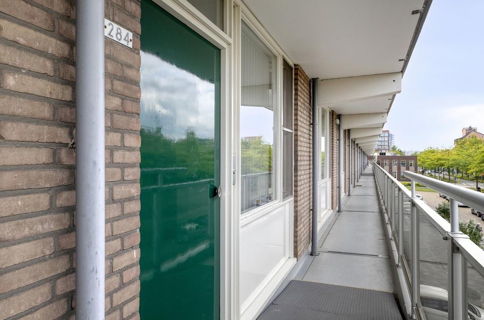Alkenoord 284