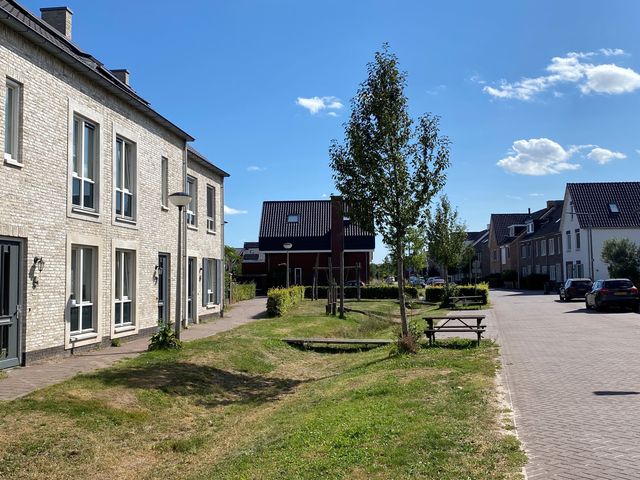 Avondlicht 5, Arnhem