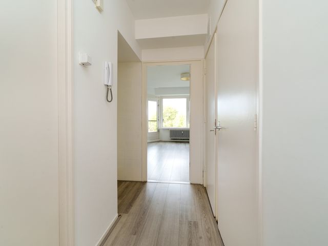 Suze Groeneweglaan 135, Rotterdam