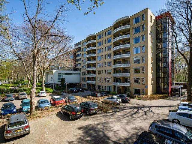 Molenweg 50, Zeist