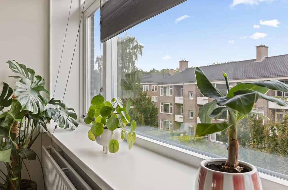 Woestijgerweg 212C