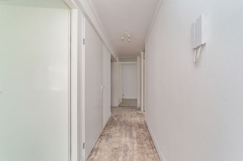 Van Geenstraat 24