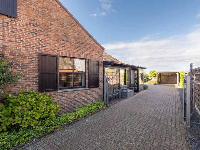 Hessie 20  , Mol