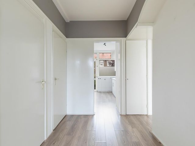 Aalscholverstraat 20B, Rotterdam