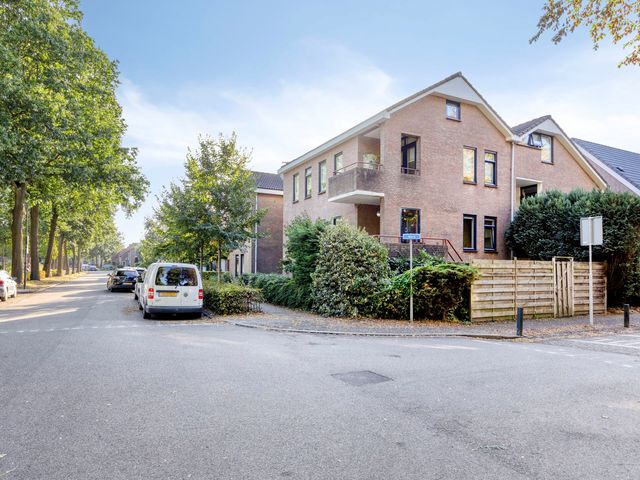 Zoom 45, Oisterwijk
